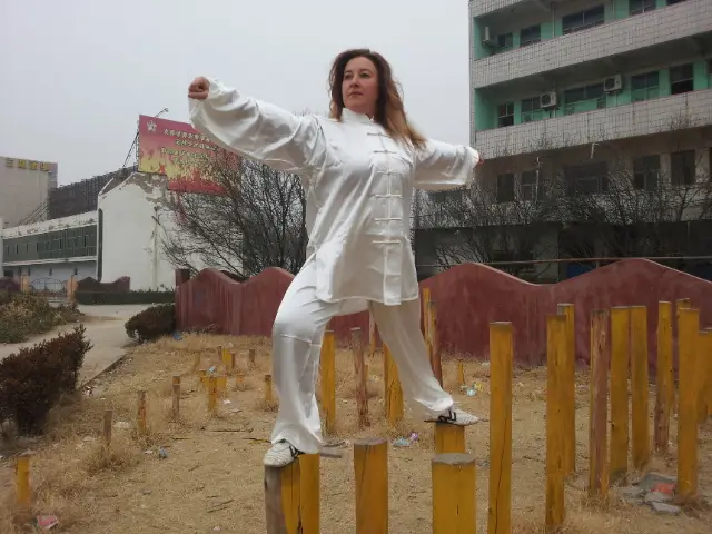 Shi Yanbo Meihua poles