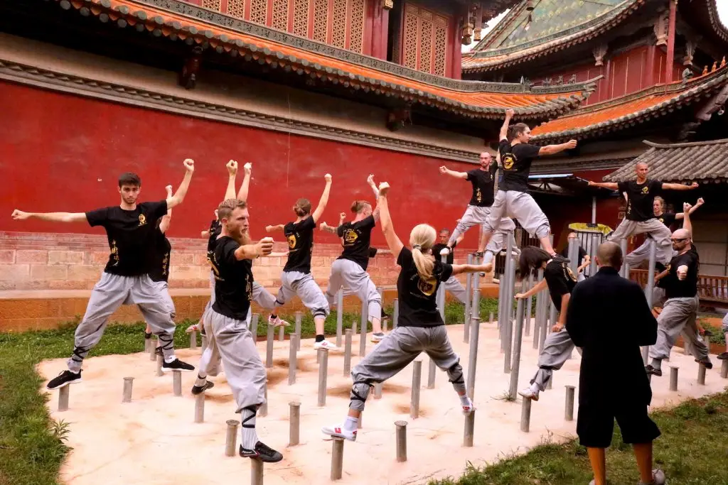 Meihua Quan Characteristics