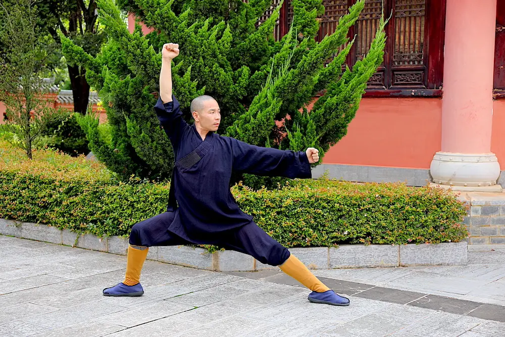 Meihua Quan Da Shi