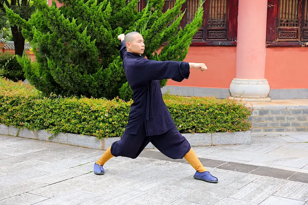 Meihua Quan Ao Shi