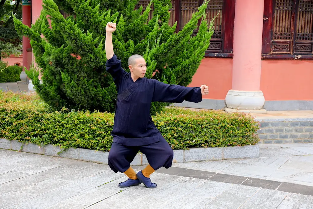 Meihua Quan Xiao Shi