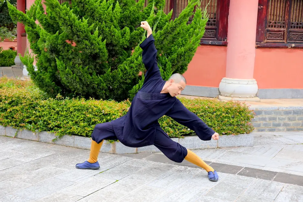 Meihua Quan Bai Shi