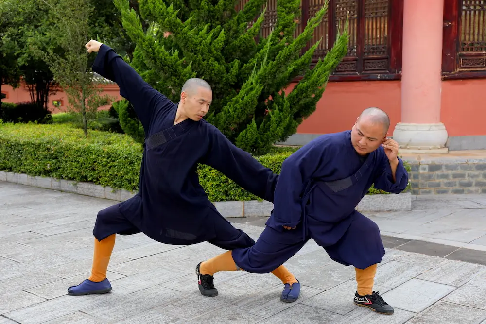 Meihua Quan Yin & Yang