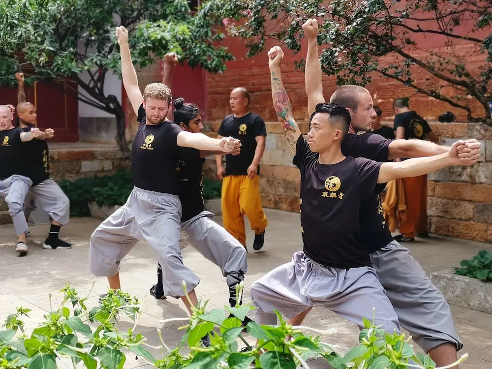 Meihua Quan Yin & Yang