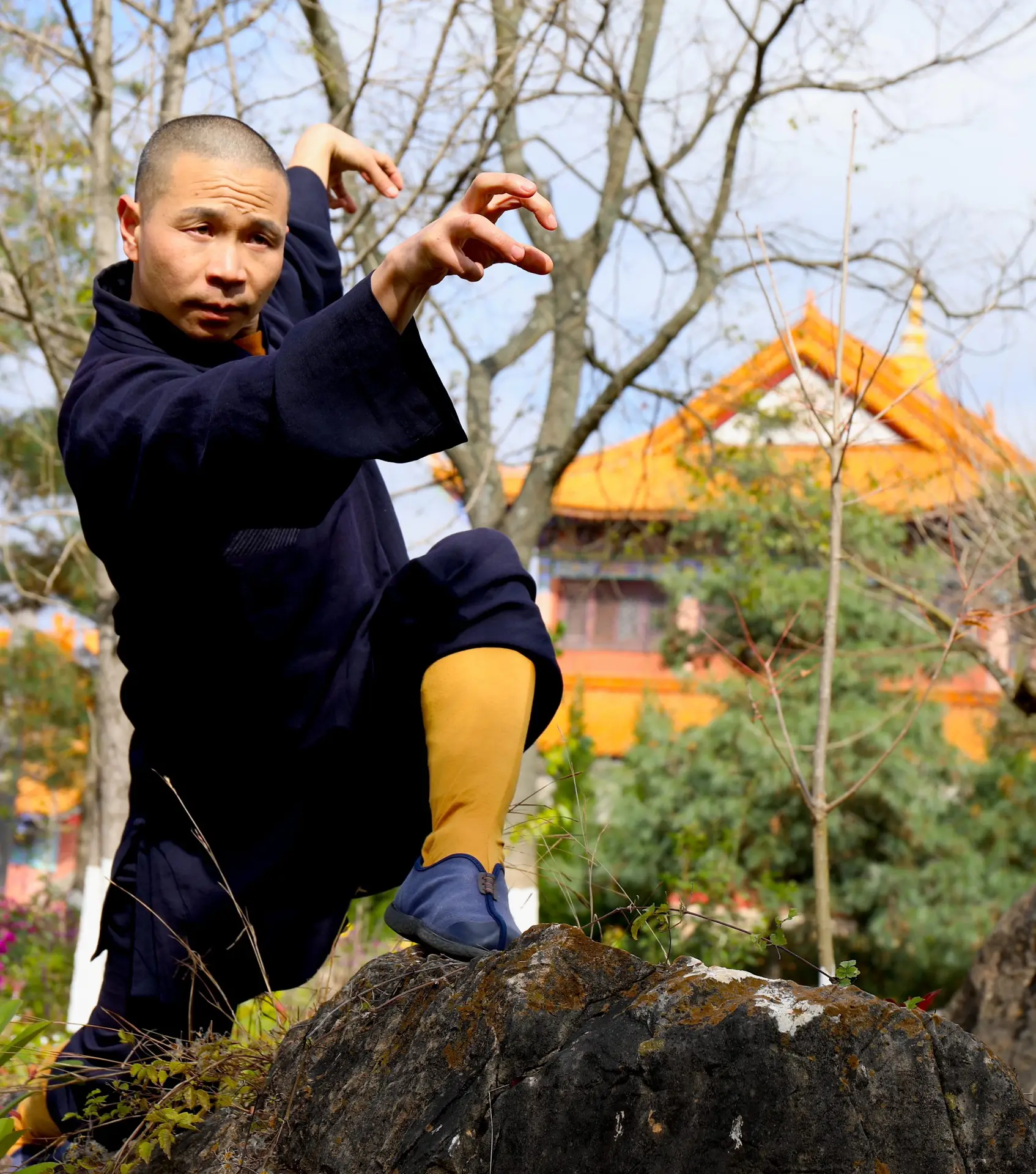 3Z1A4403 2 3Z1A4403 2