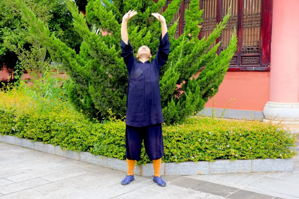 Ba Duan Jin stance 1