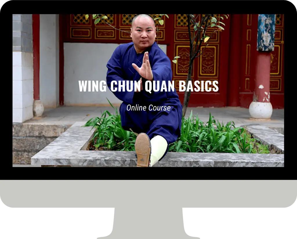 Wing Chun fundamentals online course