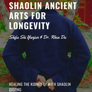 Healing the kidney Qi with Shaolin Qigong