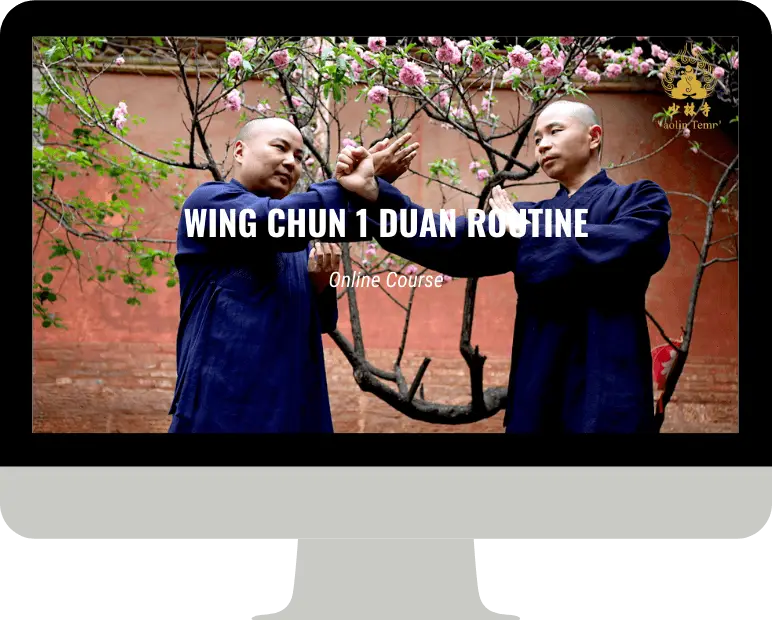 Wing chun 1 Duan routine online course