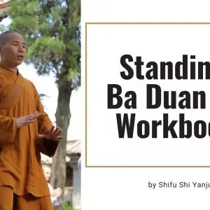Ba Duan Jin Workbook