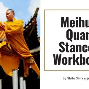 Meihua Quan Stances Workbook