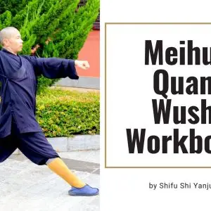 Meihua Quan Wushi Workbook