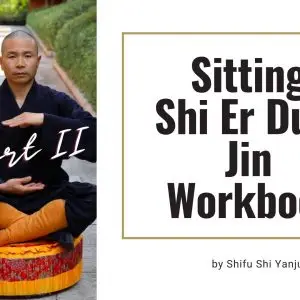 Shi Er Duan Jin Workbook II
