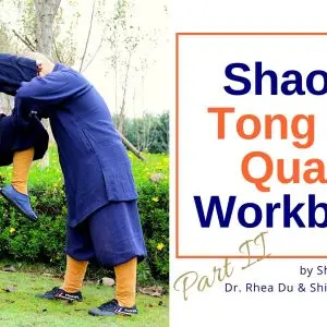 Tong Bei Quan Workbook II