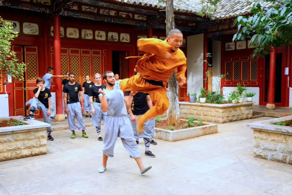 Sanda Steps Techniques