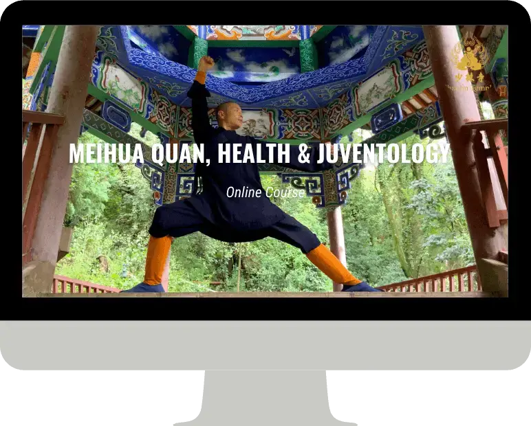 Shaolin Temple Yunnan Meihua Quan