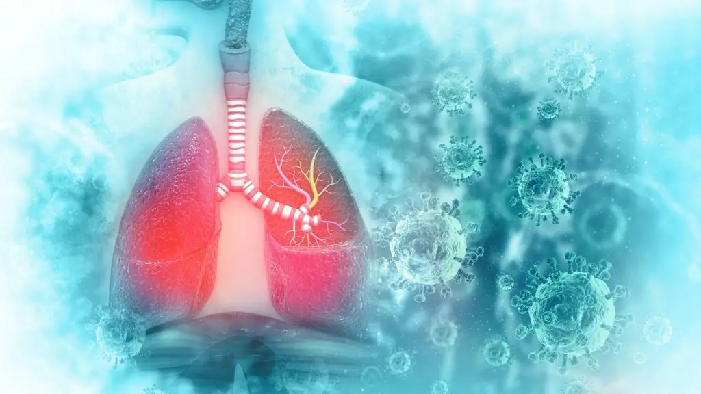 Wei Qi in Traditional Chinese Medicine