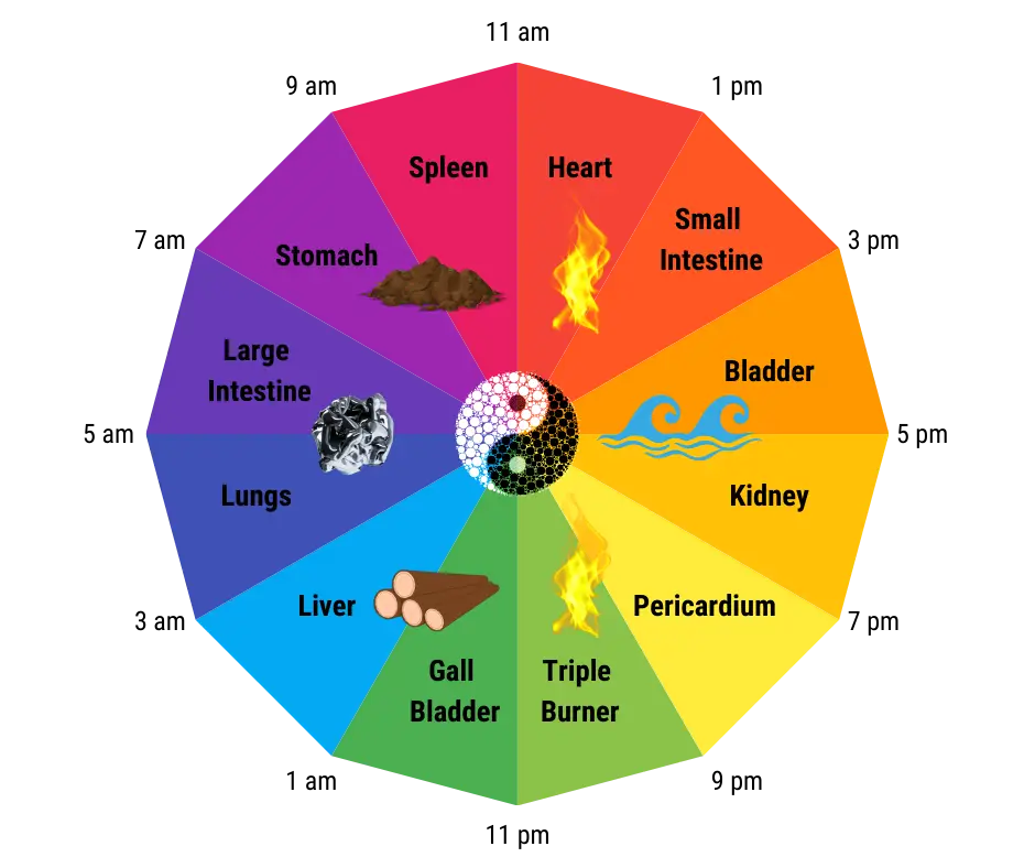 Biological Rhythm and Five Elements Theory
