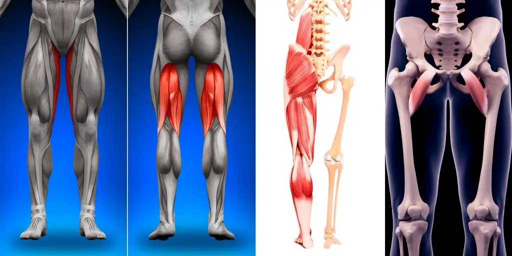 muscles in horizontal splits