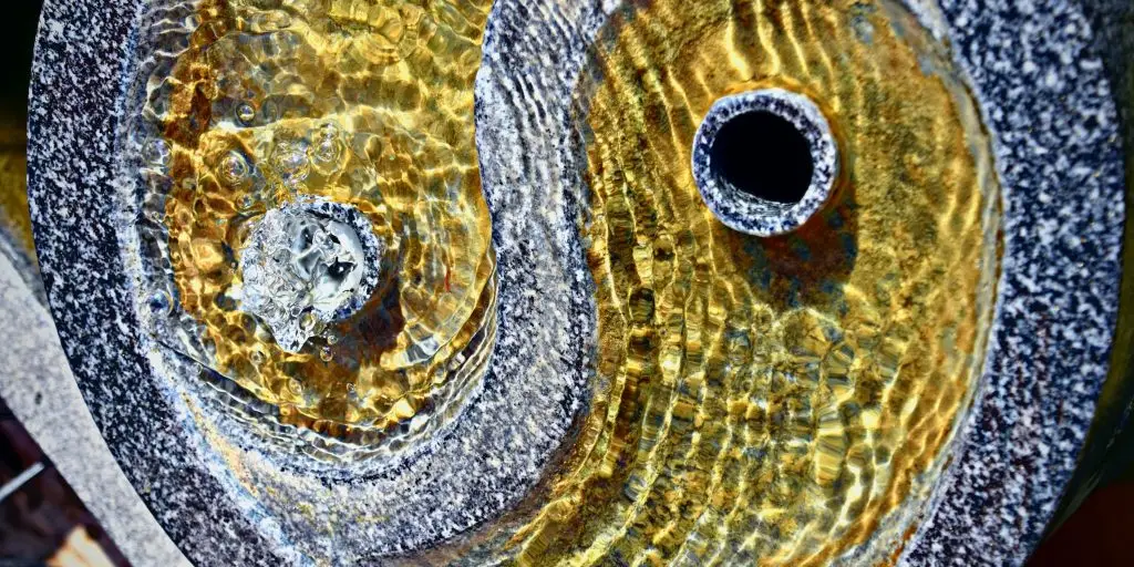 Biological Rhythm, and Yin & Yang