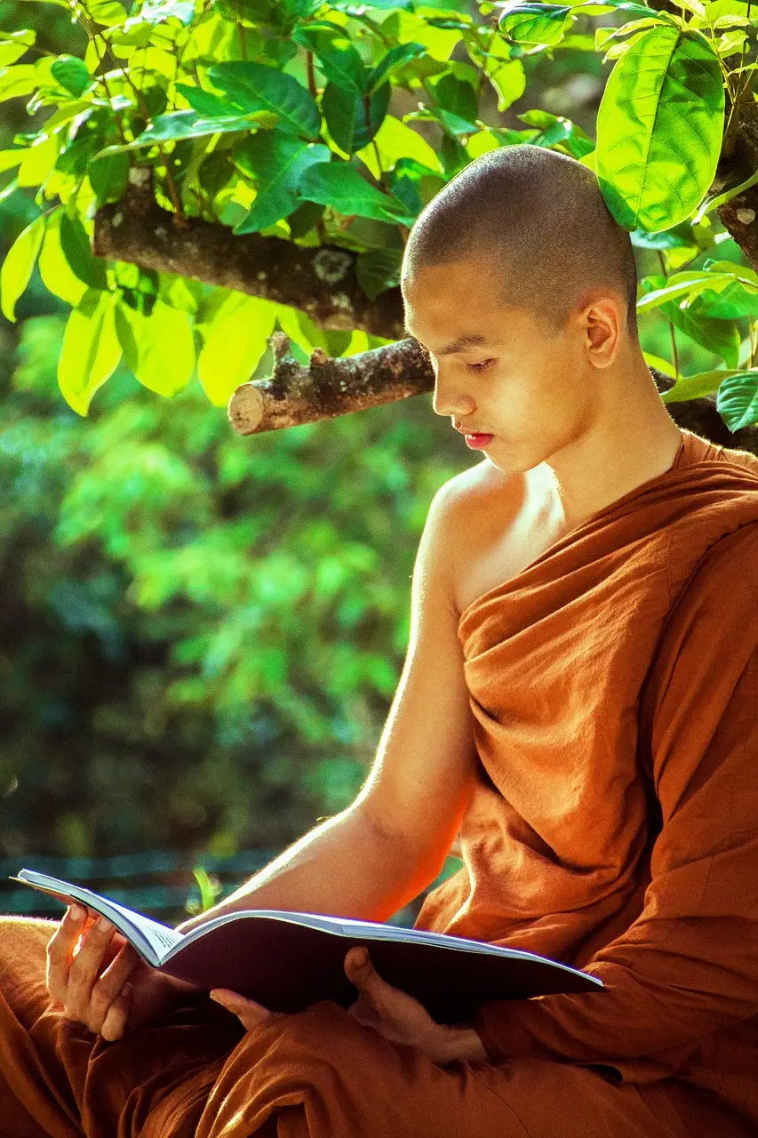 theravada monk, buddhist, religion-1750856.jpg