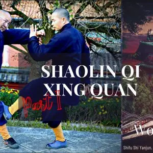 Qi Xing Quan Workbook I