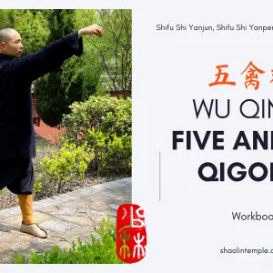 Wu Qin Xi Workbook II