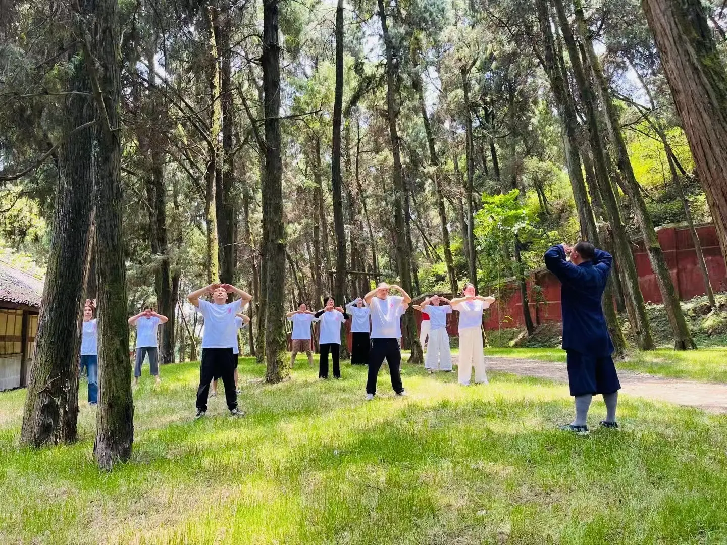 Taoist Secret Recipe for Longevity Ten Cultivations