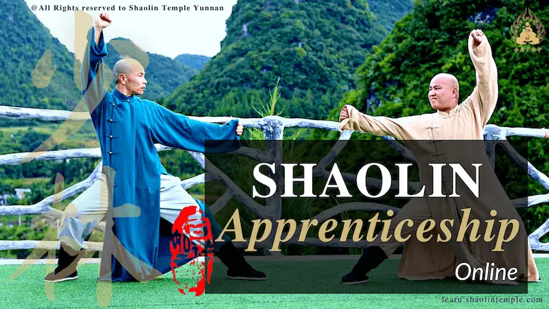 Shaolin Apprenticeship