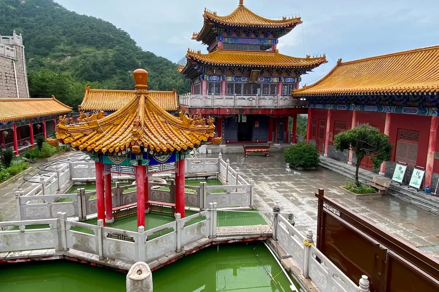 Shaolin Temple Yunnan training in Shandong