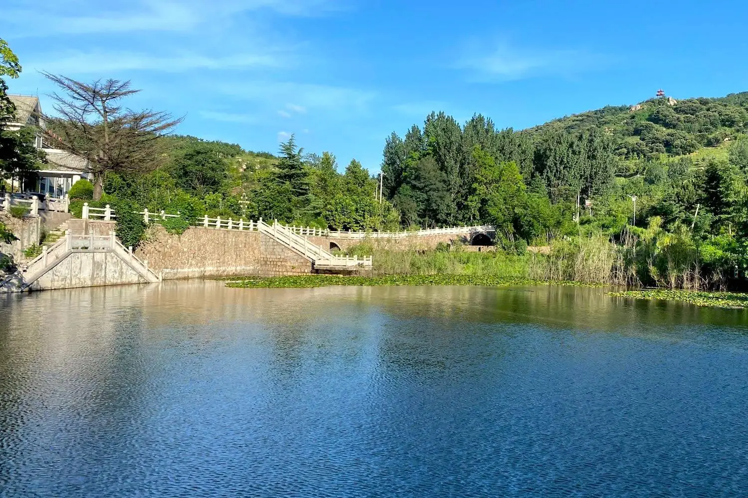 School like premisses