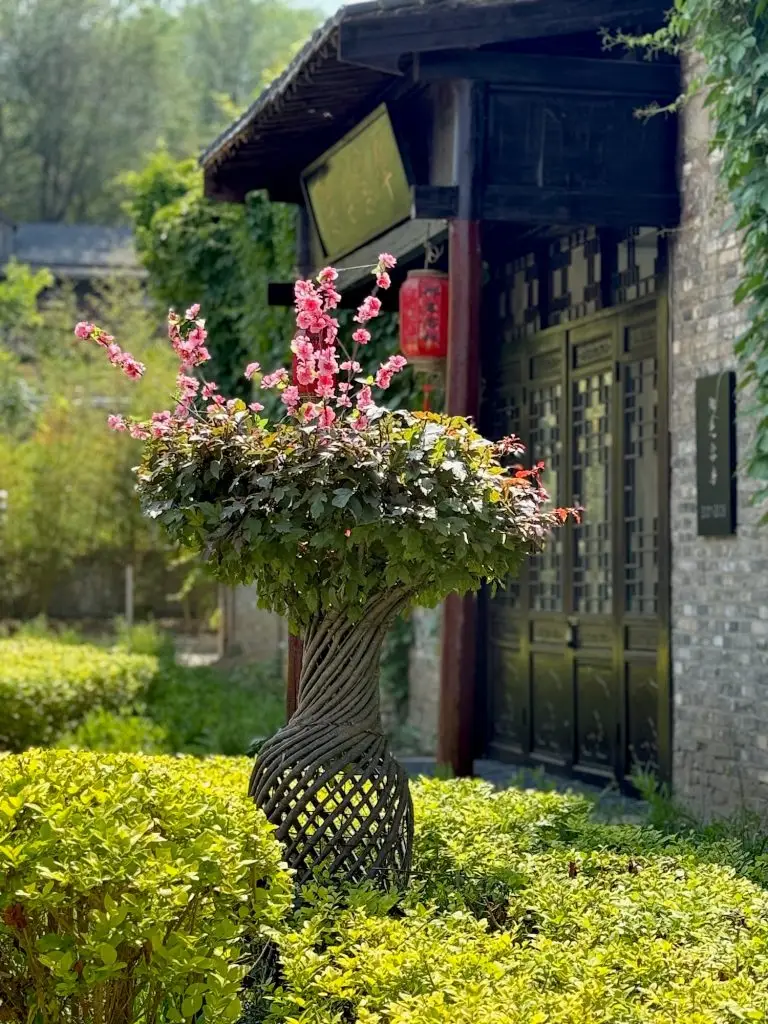 International Meihua Quan Cultural Exchange Center, Xingtai