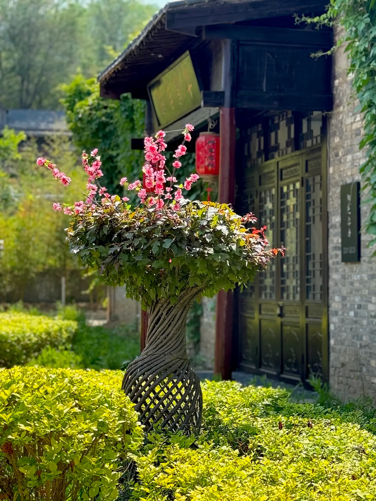 International Meihua Quan Cultural Exchange Center, Xingtai