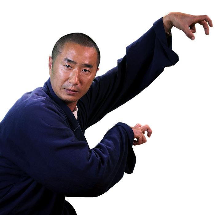 Dragon Kung Fu Style