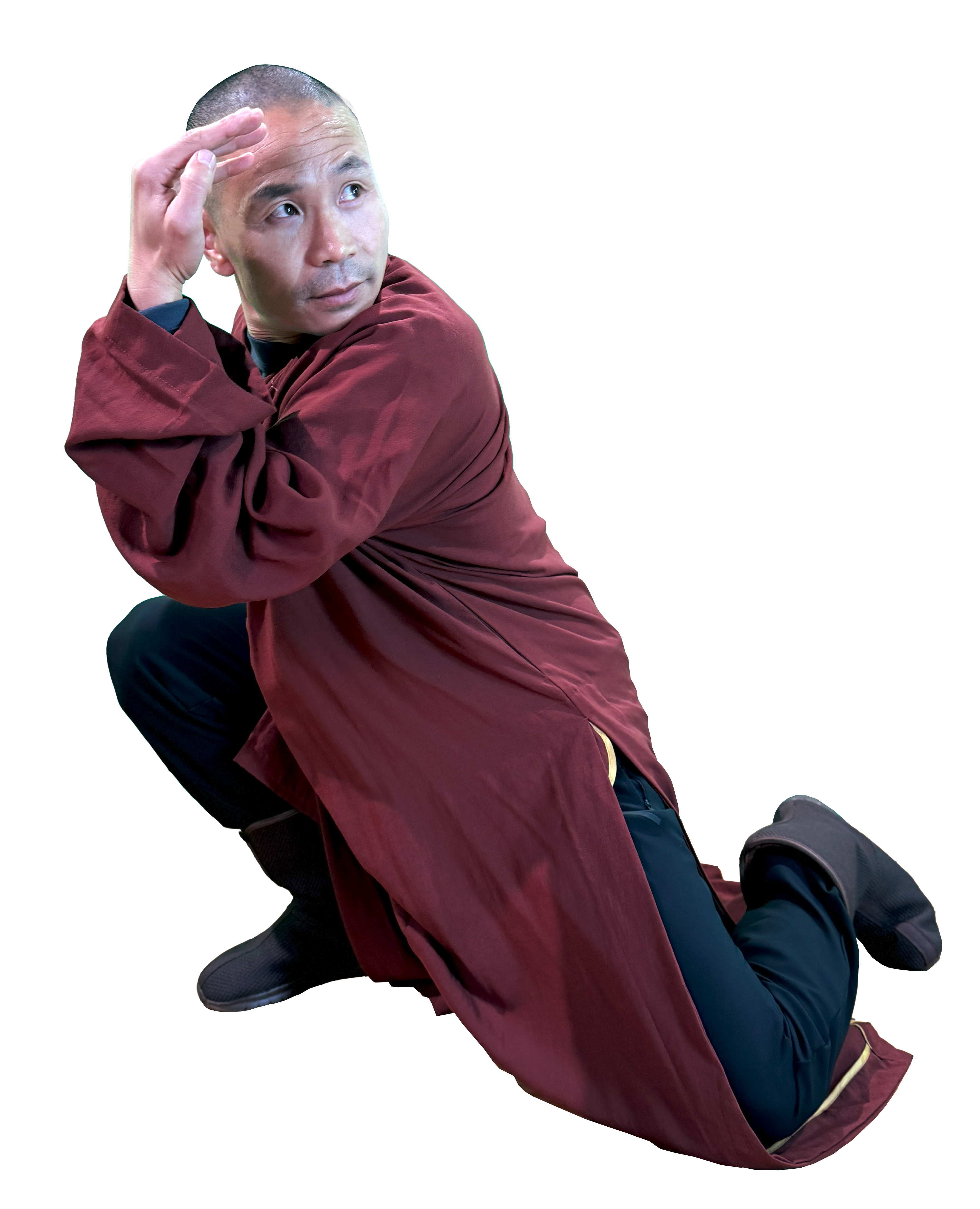 Monkey Kung Fu Style