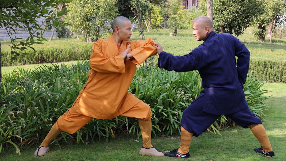 Ma Bu to Gong Bu: Transition Dynamics in Martial Arts