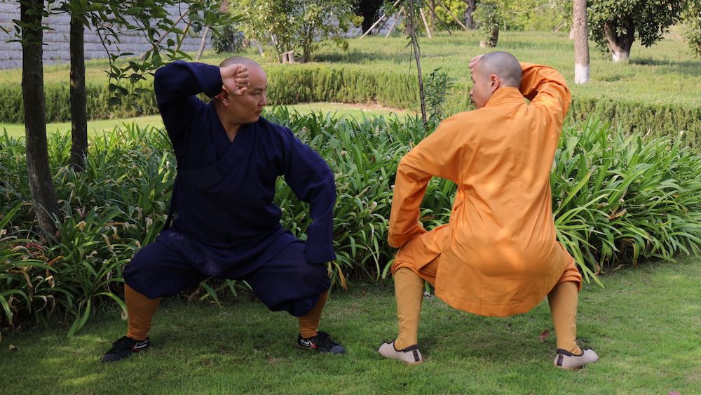 Ma Bu to Gong Bu: Transition Dynamics in Martial Arts