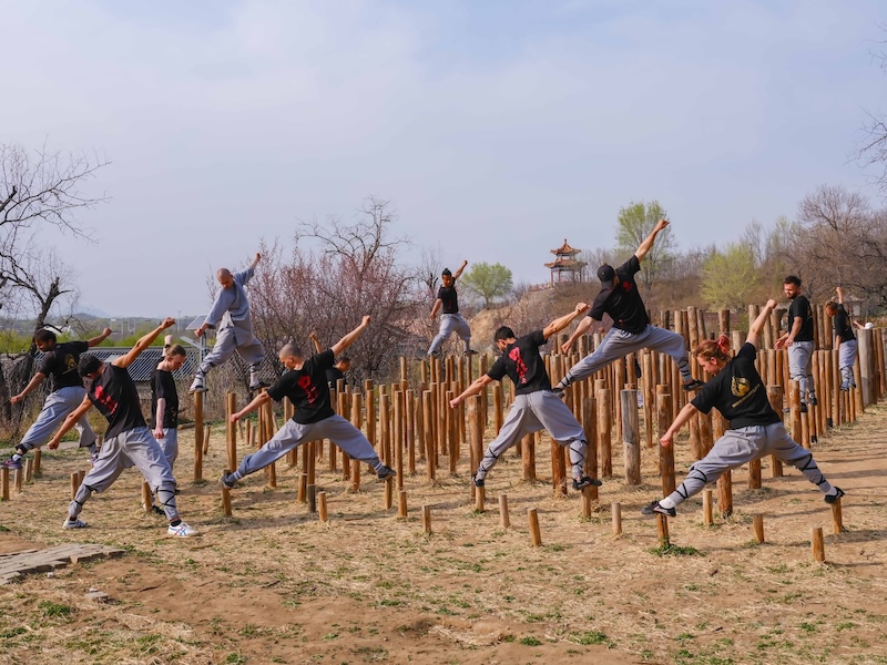 Train in China, Meihua poles