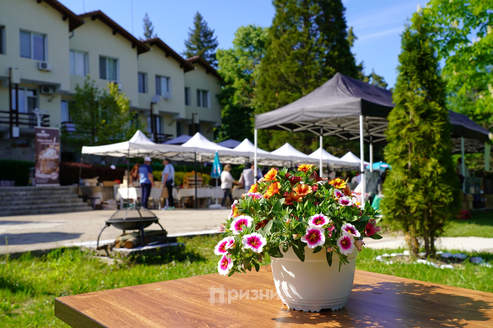 495367374_1322030049428020_1278481916090202607_n