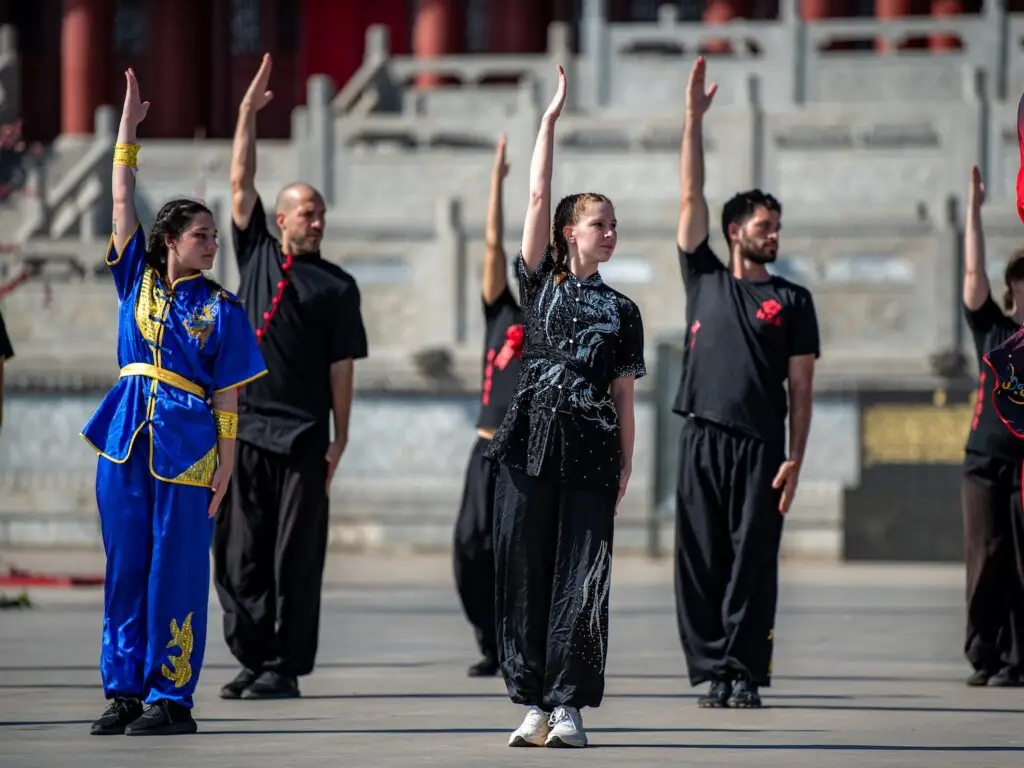 Meihua Quan Training